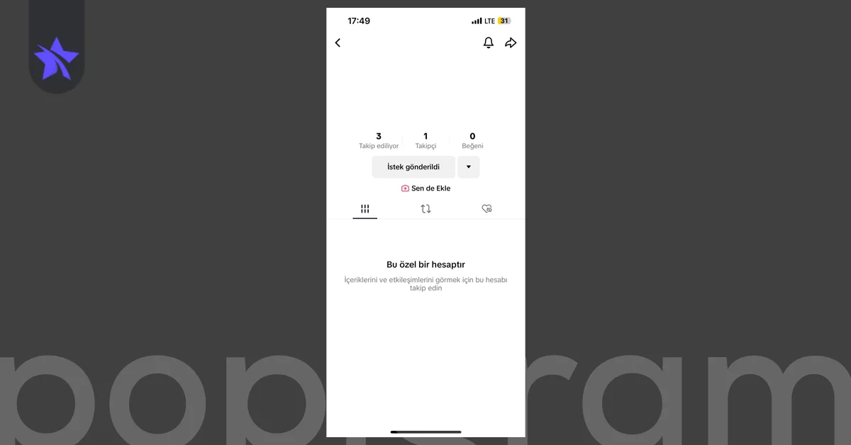 TikTok Özel Hesap Nedir